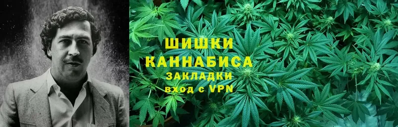 МАРИХУАНА Ganja  это телеграм  Пустошка 